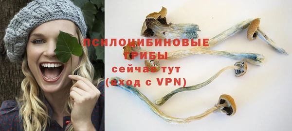 тгк Костерёво