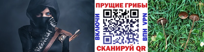 Псилоцибиновые грибы мухоморы  продажа наркотиков  Тейково 