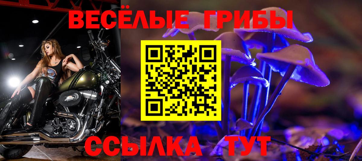 магазин продажи   Галлюциногенные грибы Psilocybine cubensis  Вход с VPN  Галлюциногенные грибы мухоморы  Тейково 